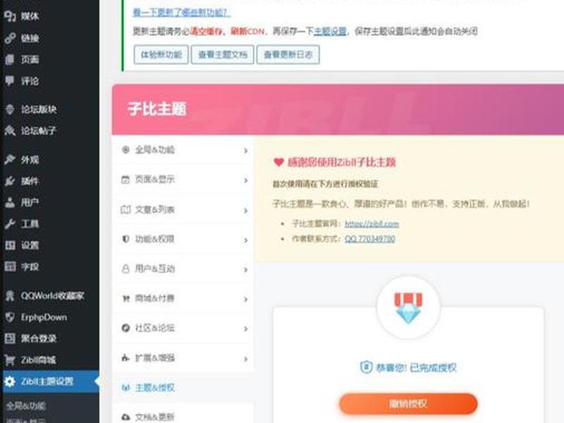 wp主题建站视频教程 - wp主题模板教程设置