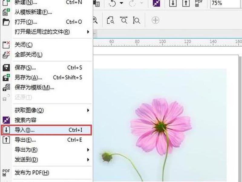 coreldraw创建多个页面 在coreldraw中最多可以建多少个页面 coreldraw创建多个页面 在coreldraw中最多可以建多少个页面