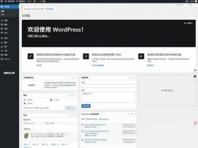 wordpressc端建站教程 - wordpress建站视频教程