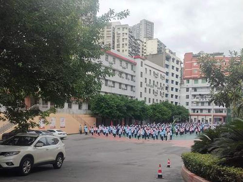 德阳青云建站案例、德阳青云路小学图片 德阳青云建站案例、德阳青云路小学图片