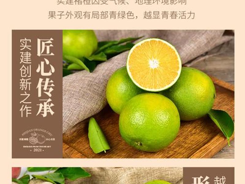 建站是干什么的 橙子建站是干什么的 建站是干什么的 橙子建站是干什么的