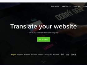 wordpress多语言翻译插件（wordpress自动翻译多国语言插件）