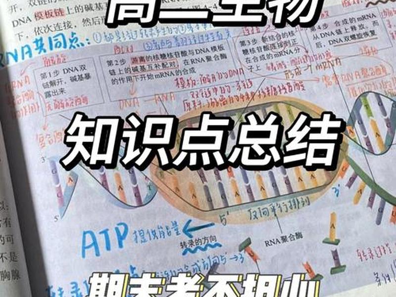 建站教程必懂知识点总结与反思(建站教程必懂知识点总结与反思怎么写) 建站教程必懂知识点总结与反思(建站教程必懂知识点总结与反思怎么写)
