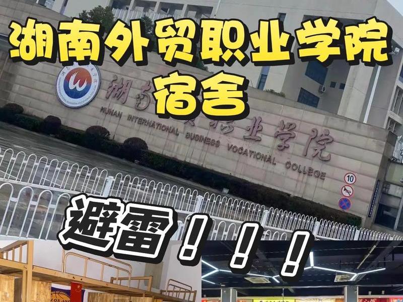 湖南外贸学院官网登录入口、湖南外贸学院官网登录入口查询 湖南外贸学院官网登录入口、湖南外贸学院官网登录入口查询