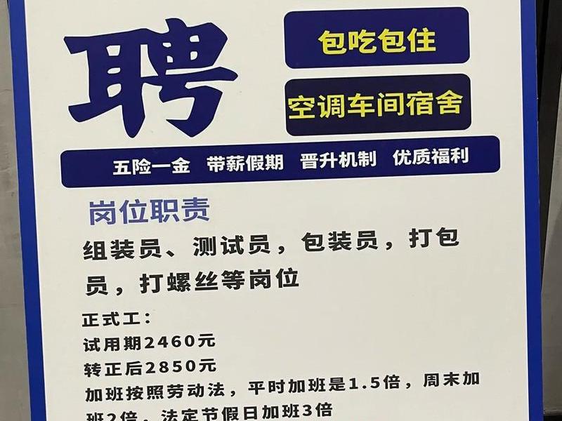 东莞网站建设公司;东莞网站建设公司招聘 东莞网站建设公司;东莞网站建设公司招聘
