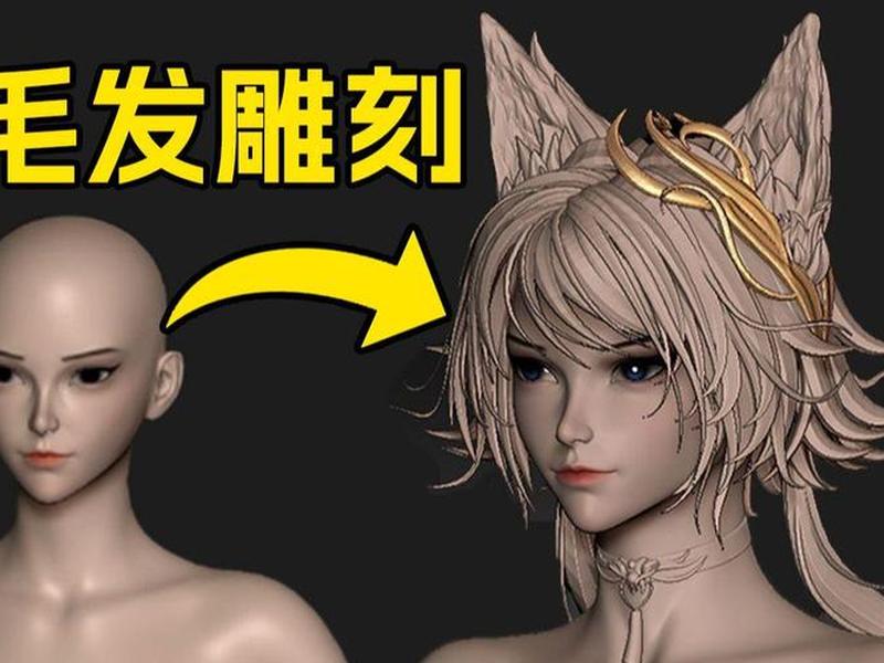 zb的安装教程,zb2020安装教程 zb的安装教程,zb2020安装教程