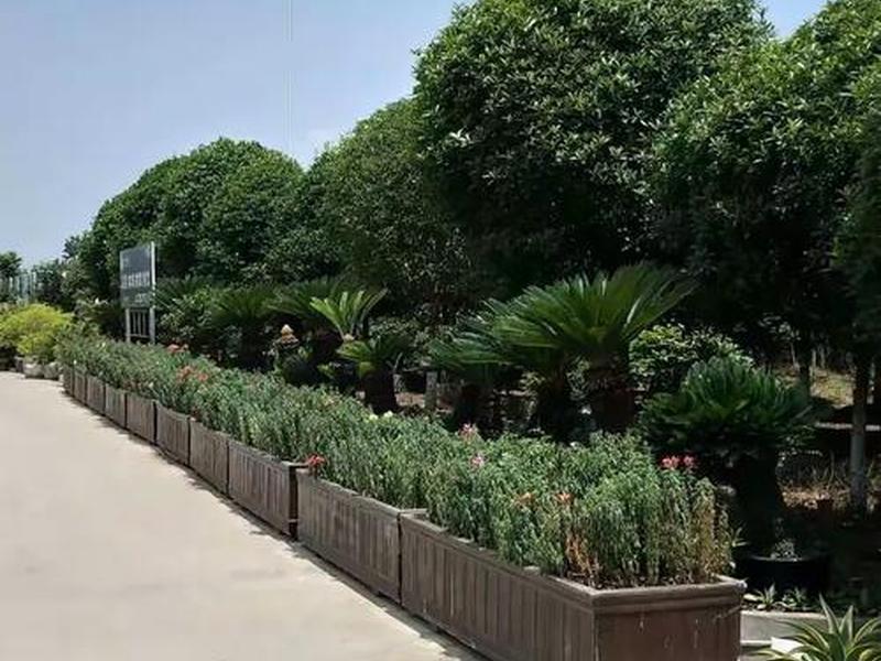德阳自主建站 德阳自主建站最新消息 德阳自主建站 德阳自主建站最新消息