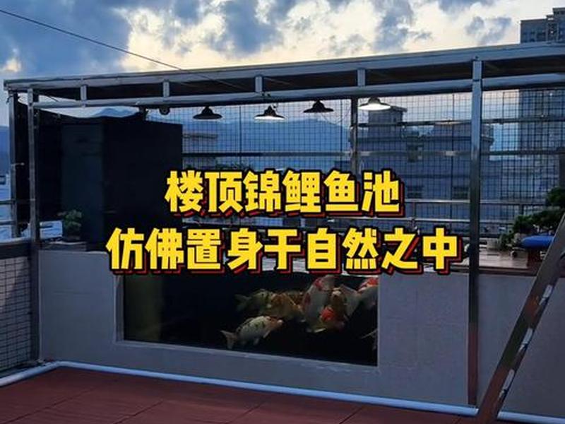 池塘怎么建(楼顶养鱼池塘怎么建) 池塘怎么建(楼顶养鱼池塘怎么建)
