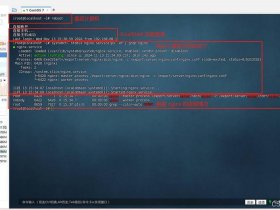 linux用nginx搭建web服务器，nginx web服务器搭建
