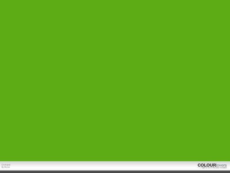 orchard教程 - orchard的 orchard教程 - orchard的