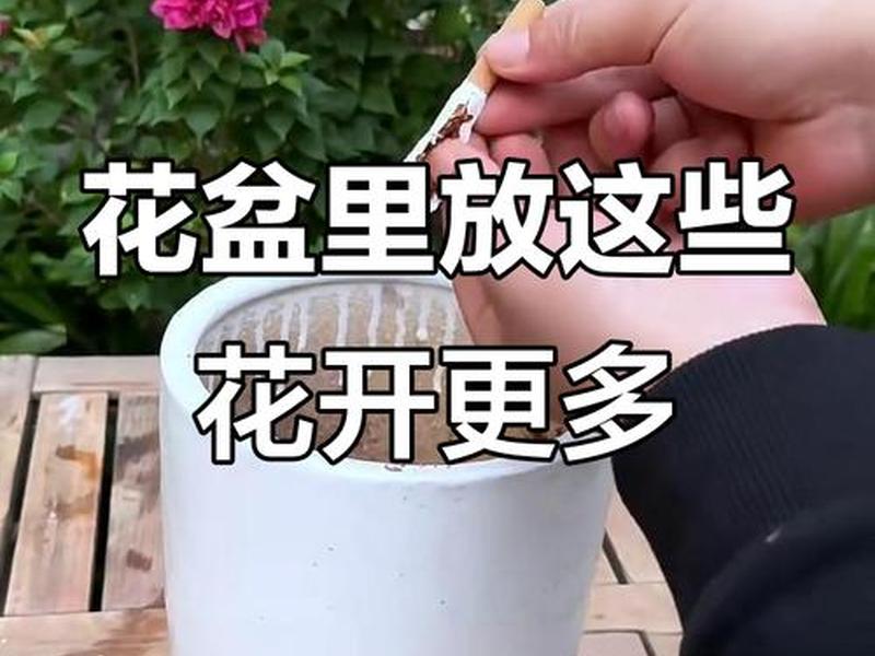 花生壳建大门，花生壳种花好吗