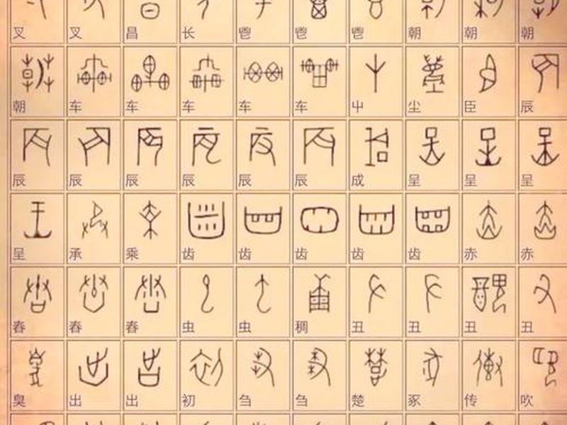 甲骨文简介50字,甲骨文简介50字怎么写 甲骨文简介50字,甲骨文简介50字怎么写