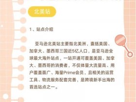 国外独立站怎么发货（国外独立站怎么结算）