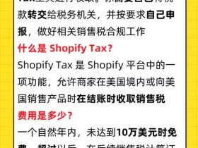 shopify建站旁边设置中文 - shopify怎么设置中文