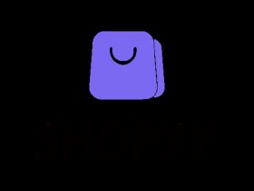 shopyy独 shopyy独立站