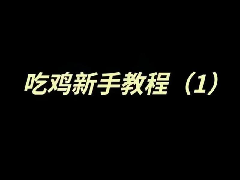 吃鸡如何建站队教程 - 吃鸡如何建站队教程手机版
