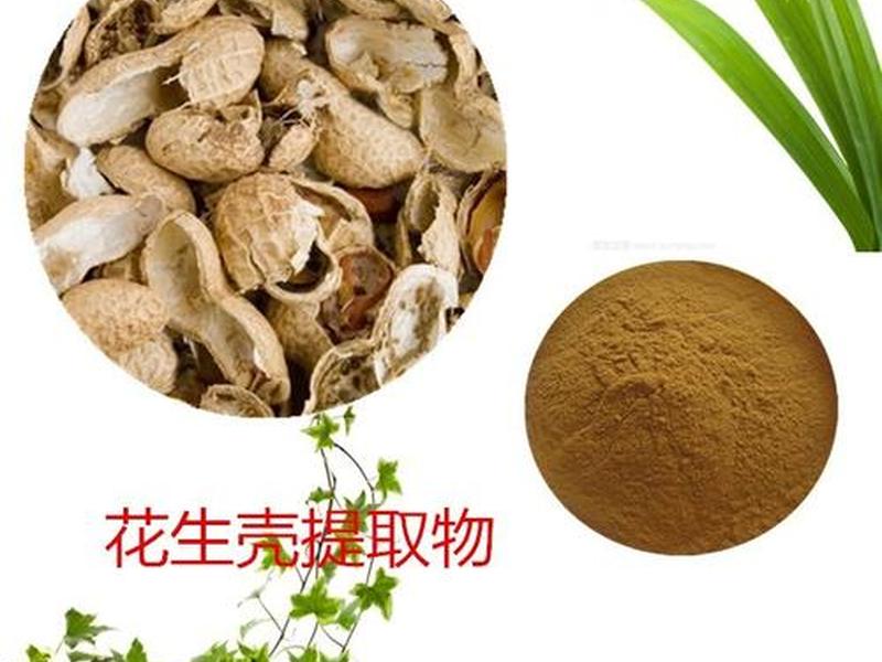 花生壳 https;花生壳https证书 花生壳 https;花生壳https证书