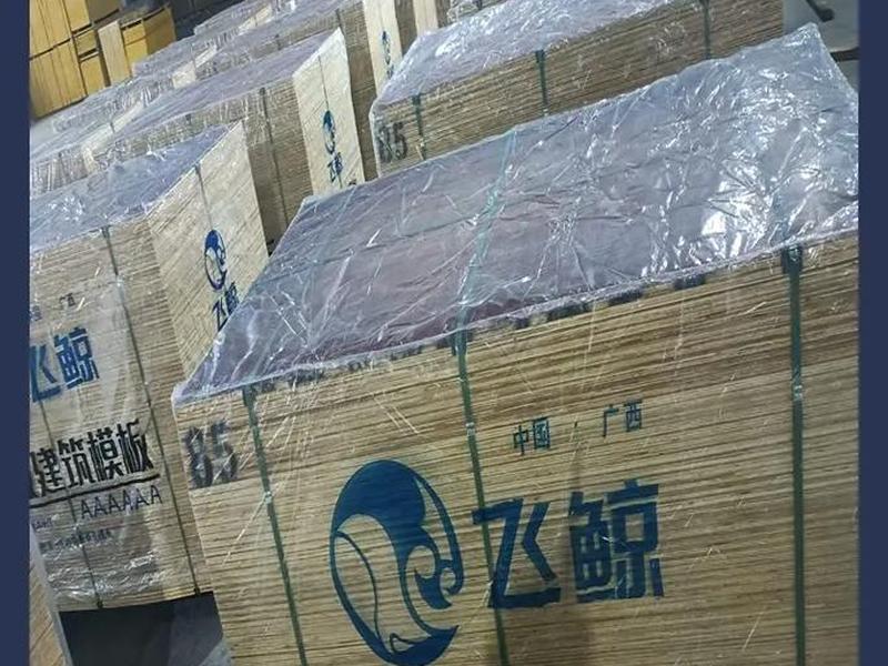 广州施工模板、广州施工模板公司 广州施工模板、广州施工模板公司