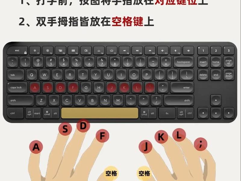 从零开始学键盘视频教程,从零开始学键盘视频教程全集 从零开始学键盘视频教程,从零开始学键盘视频教程全集