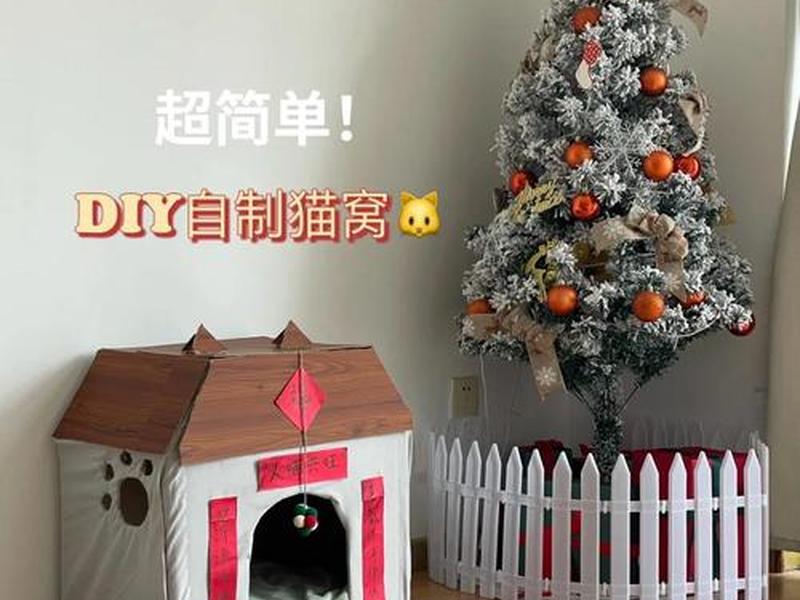 建猫房教程；给猫咪搭建小房子教程