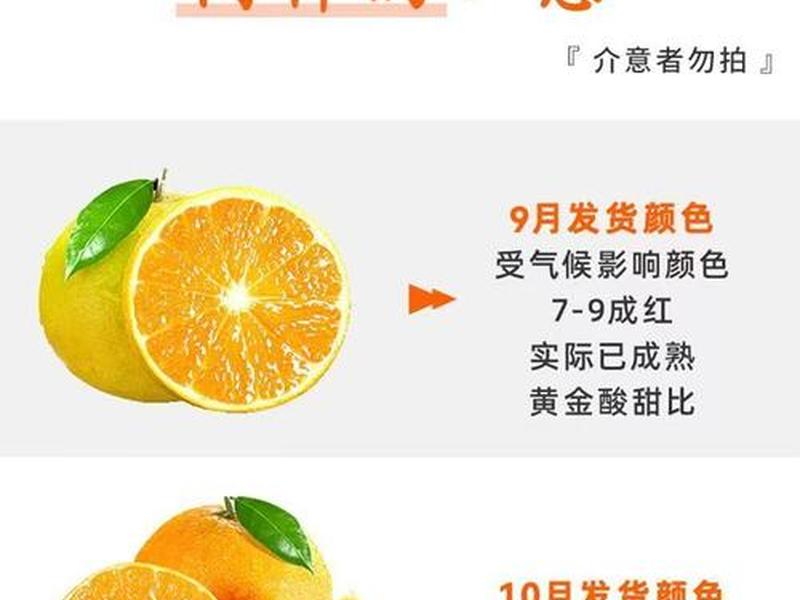 橙子落地页是什么（橙子落地页是什么意思）