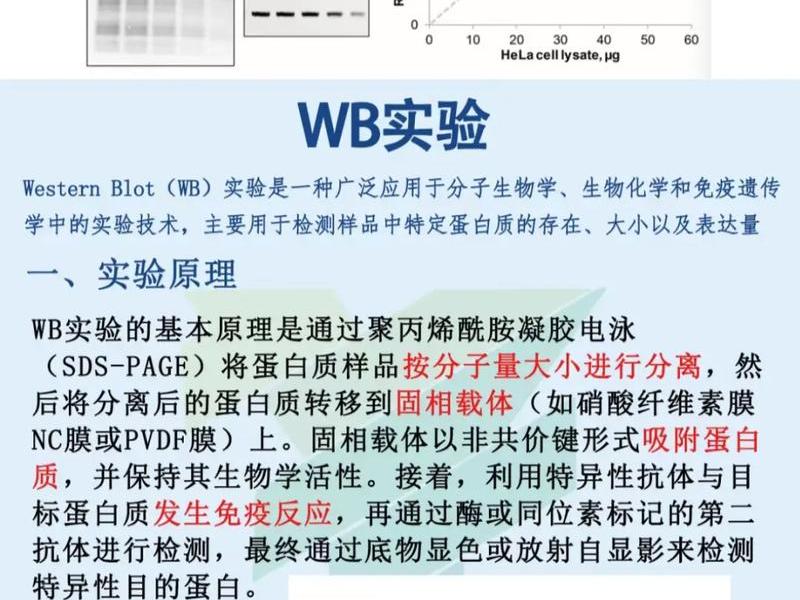 open(wb);openwbc open(wb);openwbc