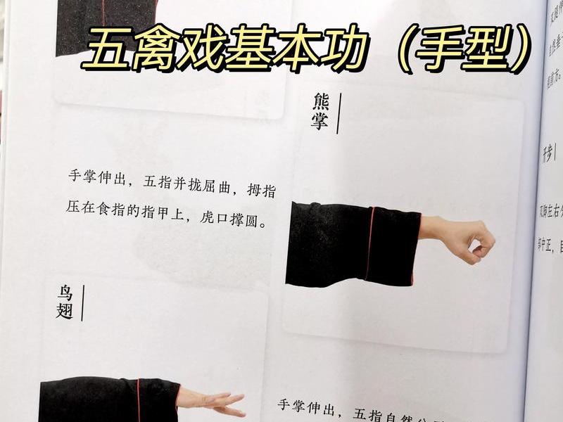 斗鸡十四种训练法视频 斗鸡十四种训练法视频教程 斗鸡十四种训练法视频 斗鸡十四种训练法视频教程