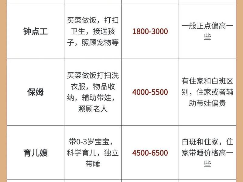 保姆项目(保姆服务项目) 保姆项目(保姆服务项目)