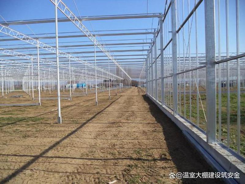 常州智能大棚搭建（常州智能大棚搭建公司）