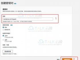 wordpress建站教程ai怎么用；wordpress建站教程入门