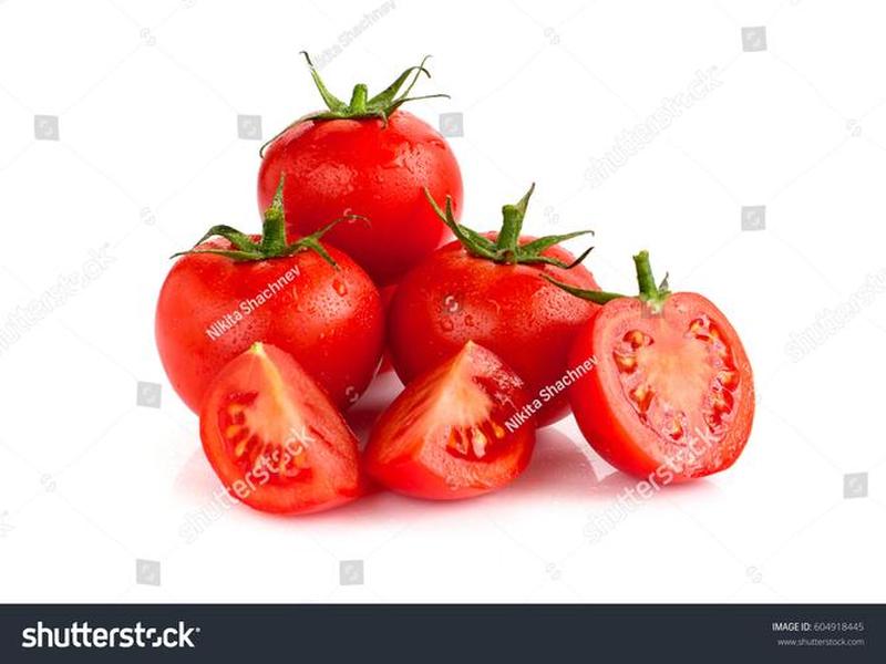 tomato-novel-downloader下载,tomatoes下载 tomato-novel-downloader下载,tomatoes下载