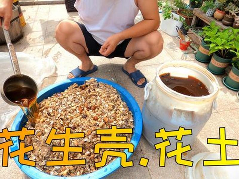 花生壳安装及使用方法,花生壳安装及使用方法视频 花生壳安装及使用方法,花生壳安装及使用方法视频