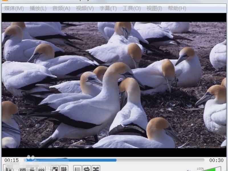 mp4安装教程视频 - mp4安装教程视频大全 mp4安装教程视频 - mp4安装教程视频大全