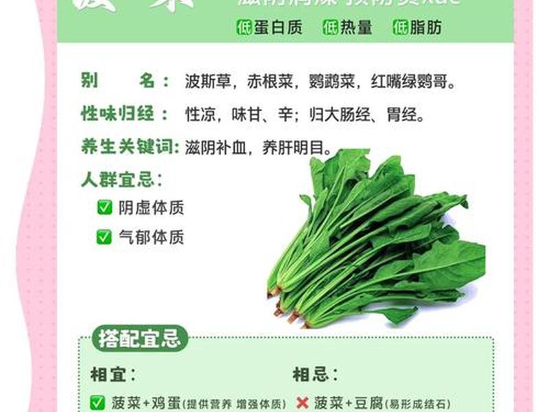菠菜怎么找资源 去哪找菠菜资源 菠菜怎么找资源 去哪找菠菜资源