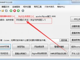 wamp怎么用，wamp怎么使用