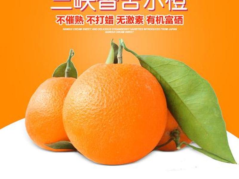 橙子建站广告怎么收费 橙子建站广告怎么投放 橙子建站广告怎么收费 橙子建站广告怎么投放