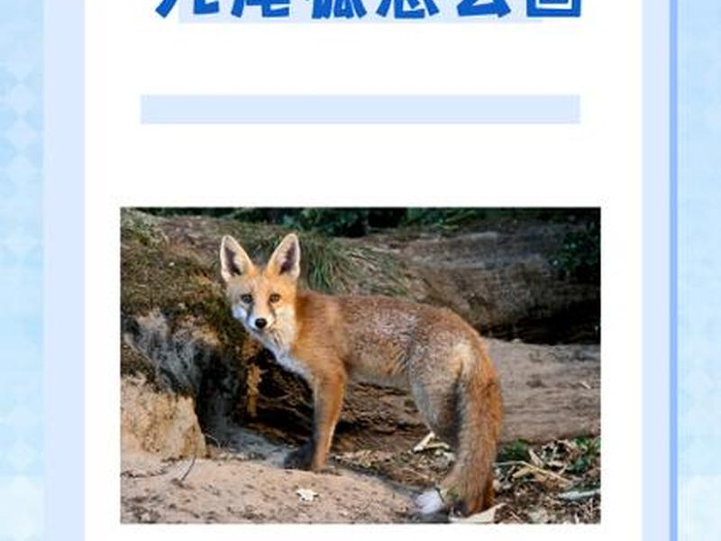 九尾狐的步骤;九尾狐步骤绘画图片 九尾狐的步骤;九尾狐步骤绘画图片