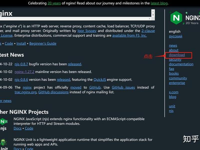 nginx建立网站 nginx搭建网站 nginx建立网站 nginx搭建网站