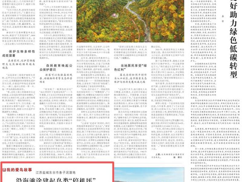 东台项目筹建 东台项目筹建单位名单