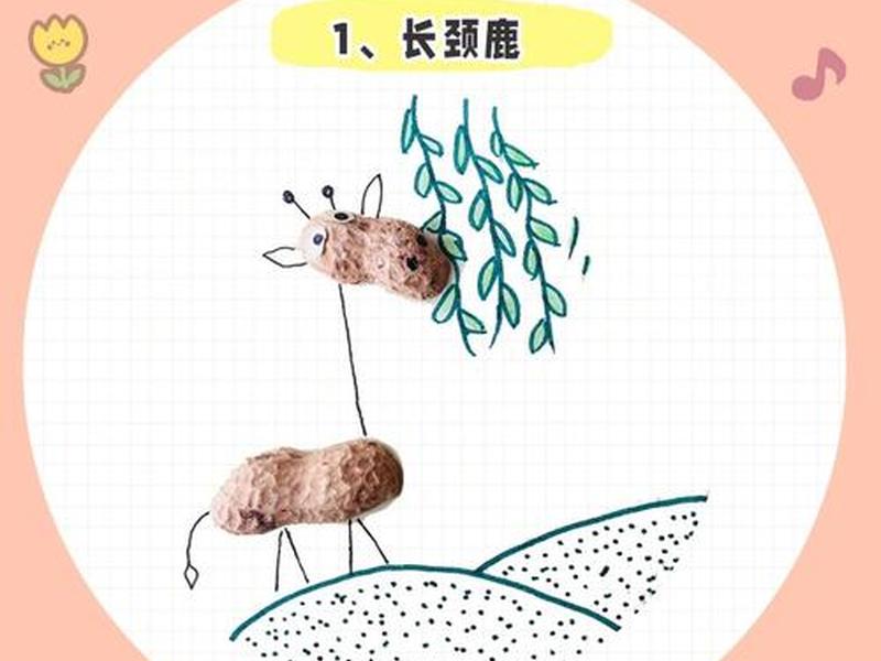 花生壳建站教程，花生壳网站搭建