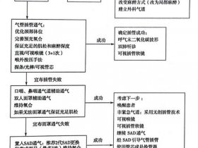 供气系统安装流程、供气系统安装流程图