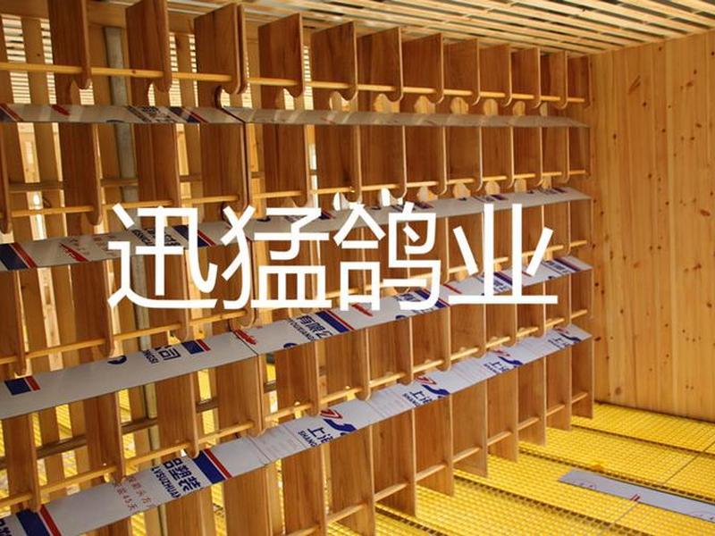 鸽棚站架图(鸽棚站架安装高度) 鸽棚站架图(鸽棚站架安装高度)