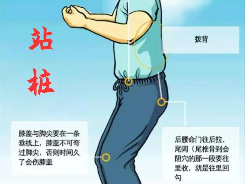 基础站桩视频 - 基础站桩视频讲解