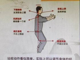 初学者如何把握站桩要领 初学者如何把握站桩要领的方法