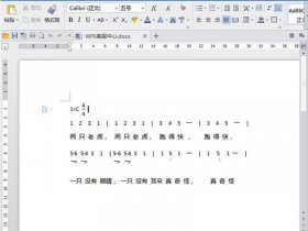 wps建立简谱模版；如何用wps写简谱