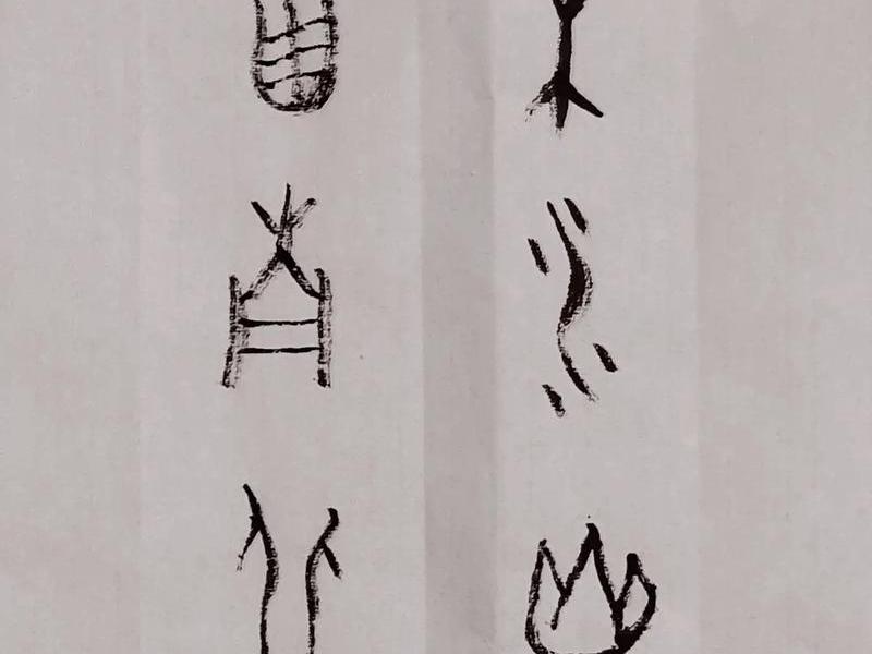 甲骨文简策形式、甲骨文简易 甲骨文简策形式、甲骨文简易