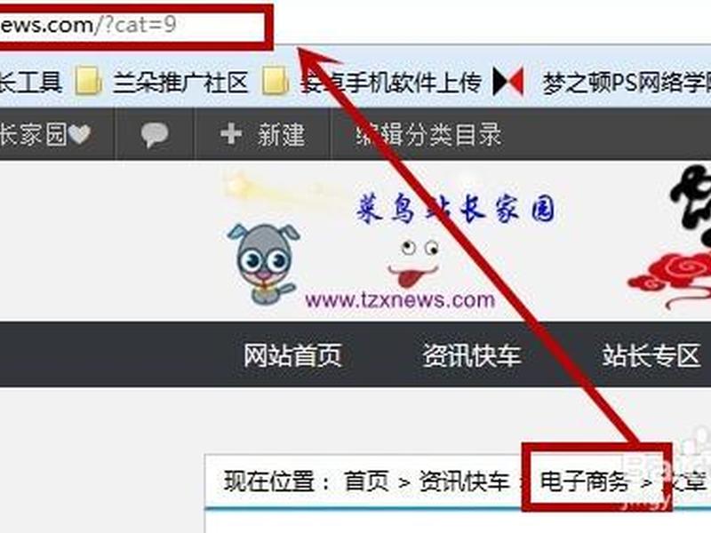 建站教程交流群怎么进去的，建站教程交流群怎么进去的啊