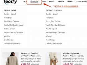 shopify模板开发（shopify模板开发教程）