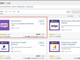 wordpress如何发布产品 - wordpress如何做产品页