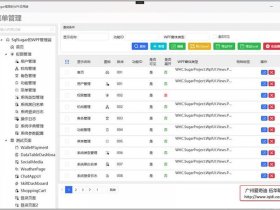 netbox ipam；netbox ipam中文